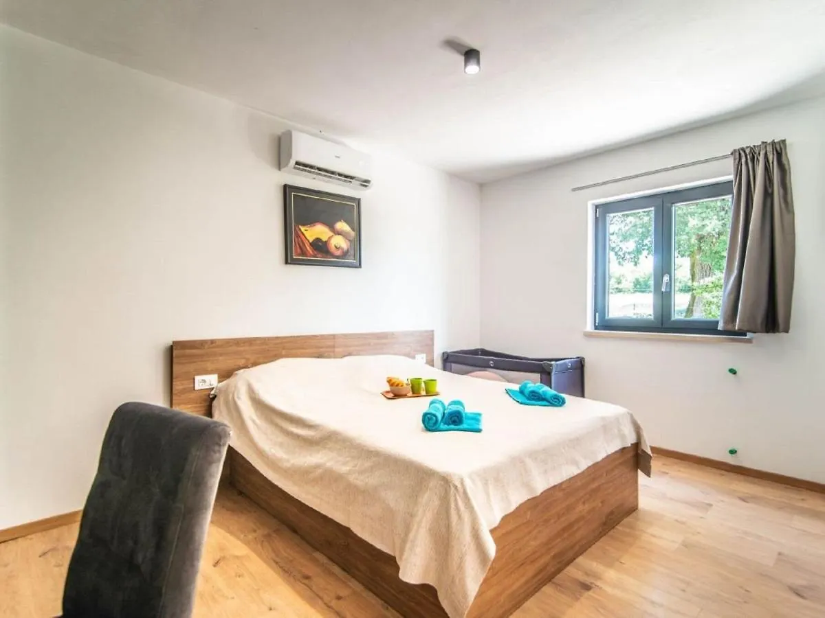 Villa With Swimming Pool And Outdoor Kitchen Svetvincenat Croatia